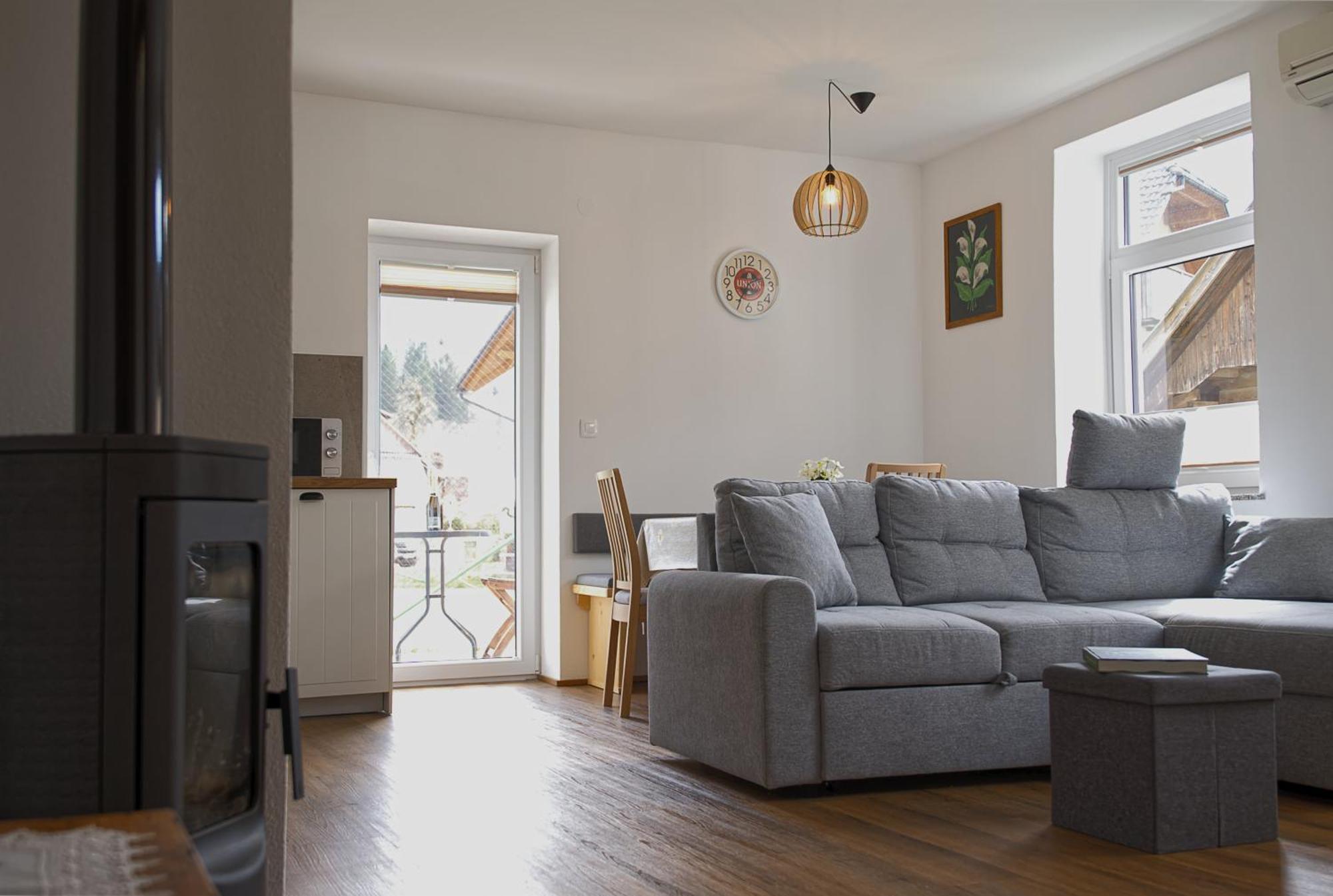 בוהין Apartma In Studio Jerca Ob Savi מראה חיצוני תמונה